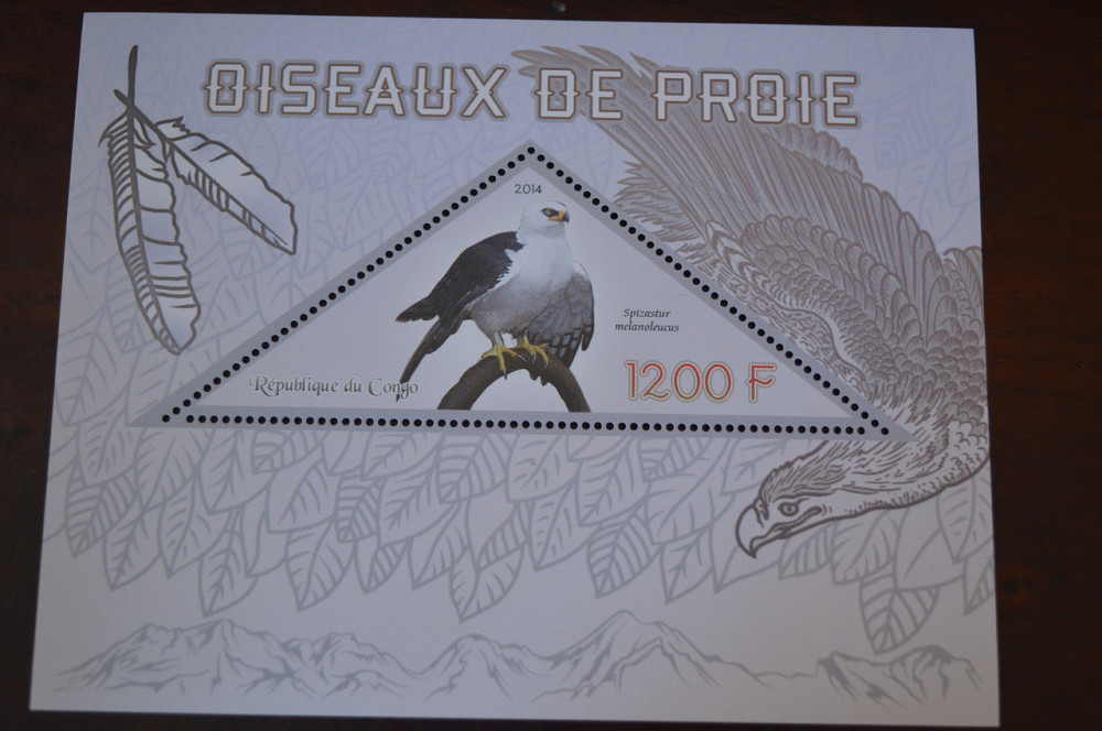 Конго. Фауна. Личности. Блок. 2014 р. (А-34) Полтава - фото 1