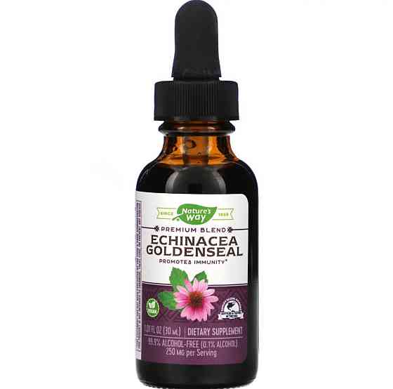 Ехінацея та Гідрастис Nature's Way Echinacea Goldenseal, 30 мл Київ