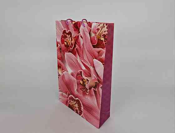 Большой бумажный пакет вертикальный  25/37/8(артBV-197) (12 шт) Харьков