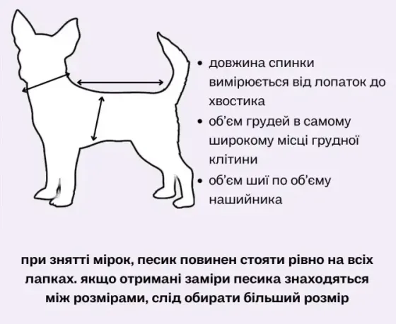 Одежда от клещей для собак комбинезон сетчатый костюм Dogs Bomba унисекс цельный черный 3 Одесса