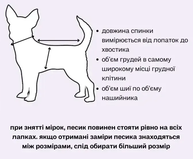Одежда от клещей для собак комбинезон сетчатый костюм Dogs Bomba унисекс цельный черный 3 Одесса - изображение 3