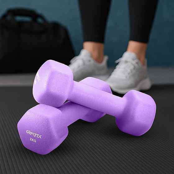 Гантелі для фітнесу неопренові Gymtek Hex 2х2кг бузковий Київ