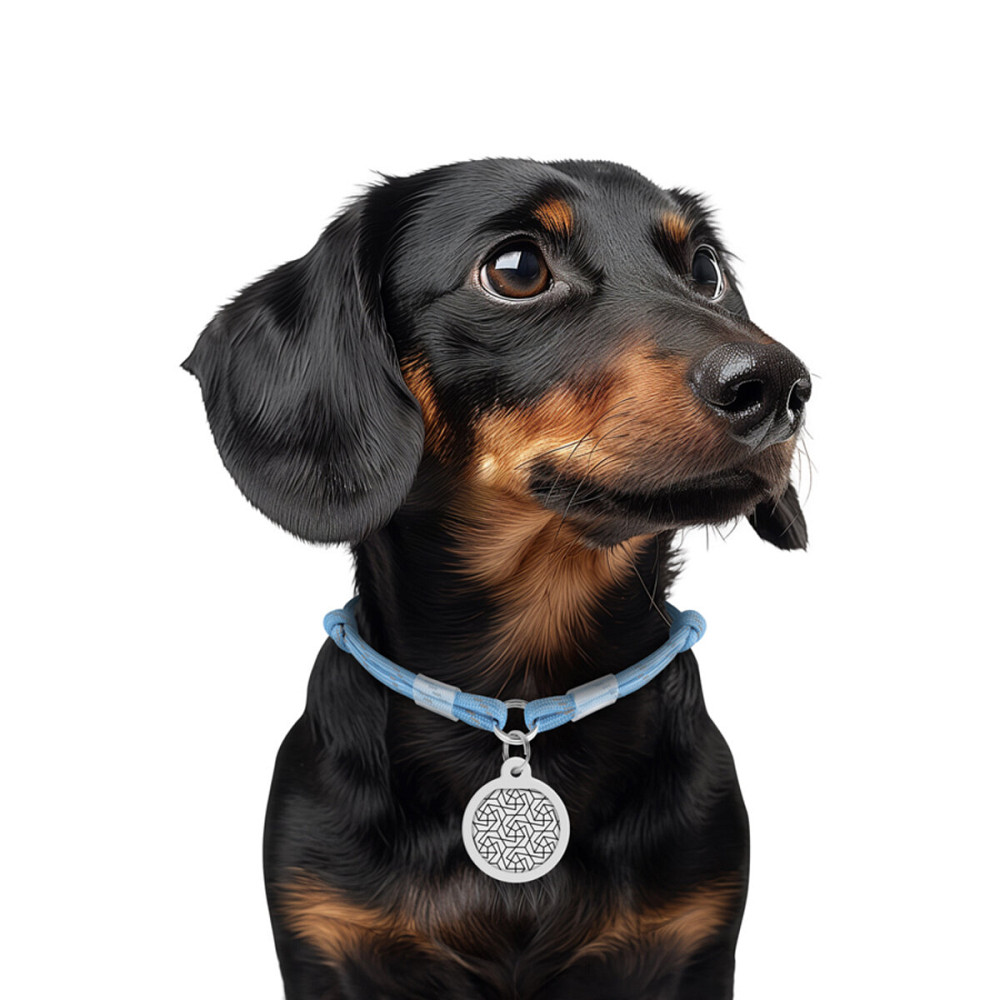 Veterinary Formula SCC Snow White Shampoo ВЕТЕРИНАРНАЯ ФОРМУЛА БЕЛОСНЕЖНО БЕЛЫЙ шампунь для собак и котов со светлой шерстью Киев - изображение 2