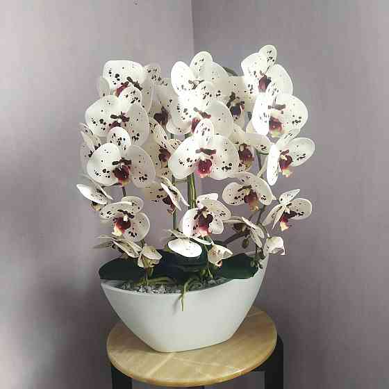 Штучна латексна орхідея VIP в керамічному кашпо на три гілки біла з бордовою крапкою. Дніпро