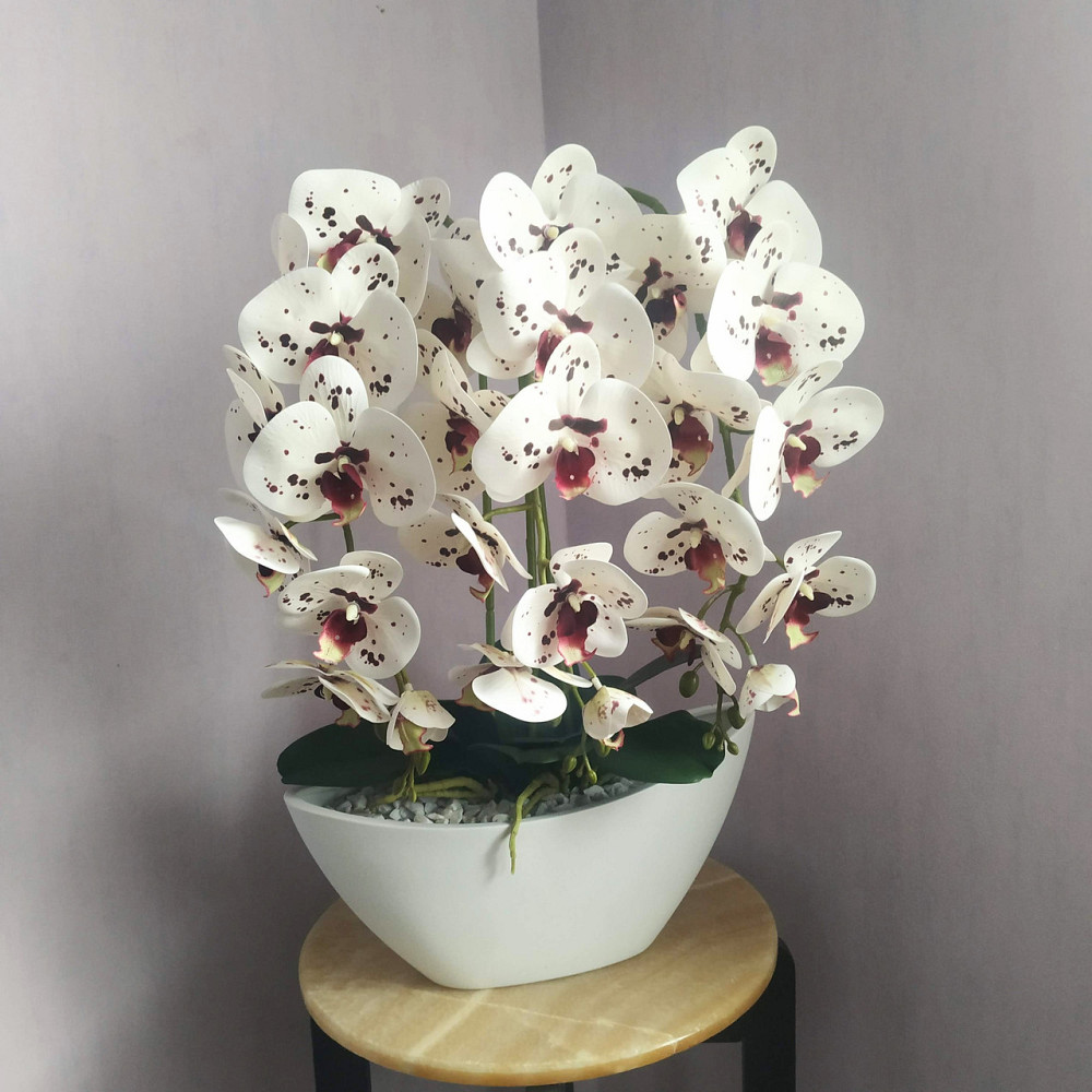 Штучна латексна орхідея VIP в керамічному кашпо на три гілки біла з бордовою крапкою. Дніпро - фото 1