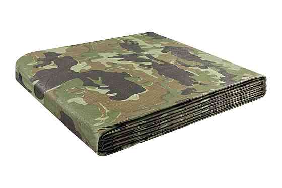MASTERTOOL Тент MASTERTOOL CAMOUFLAGE 4х8 м 90 г/м² 79-8408 Коломыя