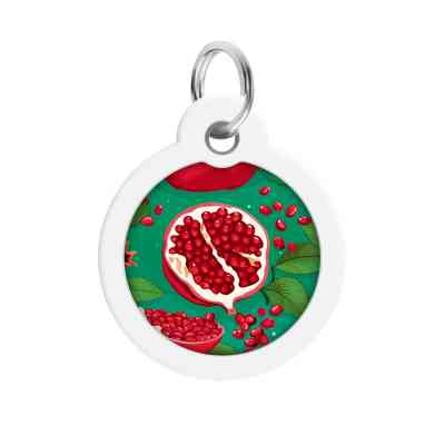 Адресник для тварин WAUDOG Smart ID з QR паспортом "Гранати", коло 30 мм (230-4052) Вінниця