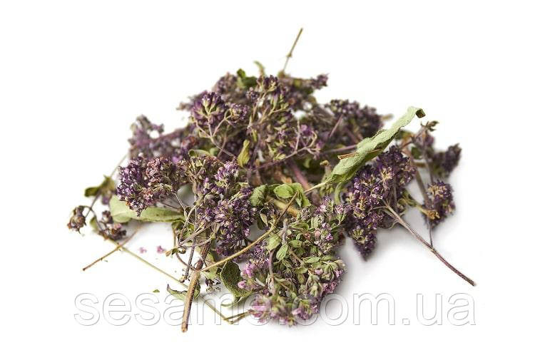 Душица трава, материнка (пак/50грамм) Харьков - изображение 1