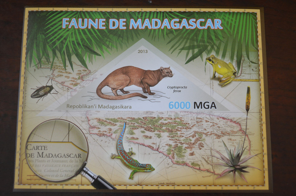Мадагаскар. Фауна. Личности. Блок. 2014 р. (А-34) Полтава - фото 1