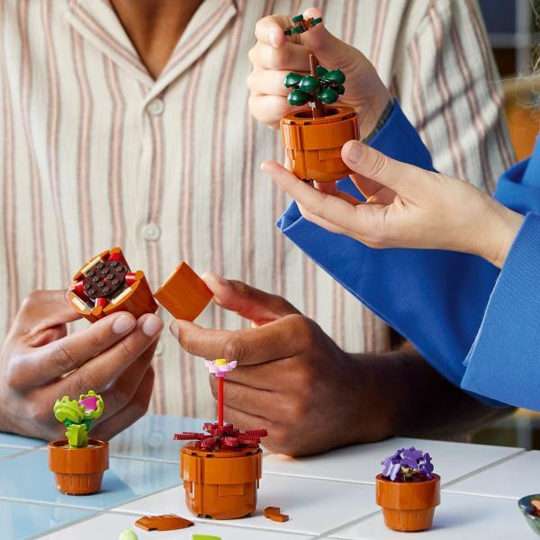 Конструктор LEGO Botanicals Мініатюрні рослини 758 деталей (10329) Харків - фото 10