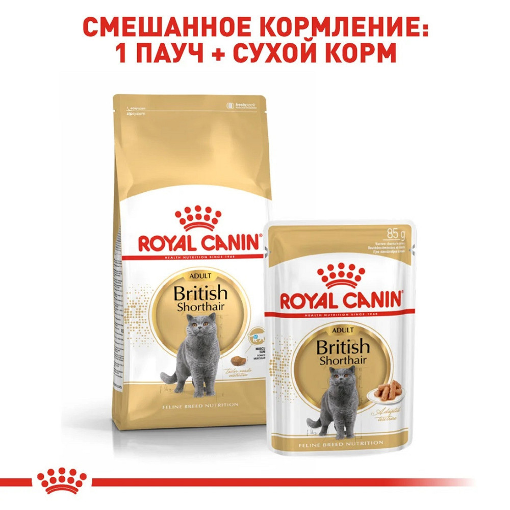 Royal Canin British Shorthair Adult (Роял Канін Брітіш Шортхейр) корм для кішок британська короткошерста Запоріжжя - фото 7