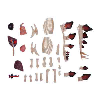 Пазл 4D Master Master Стегозавр (FM-622016) Винница