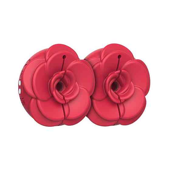 Затискачі для сосків з вібрацією Teazers Vibrating Nipple Clamps Sex Aura Київ