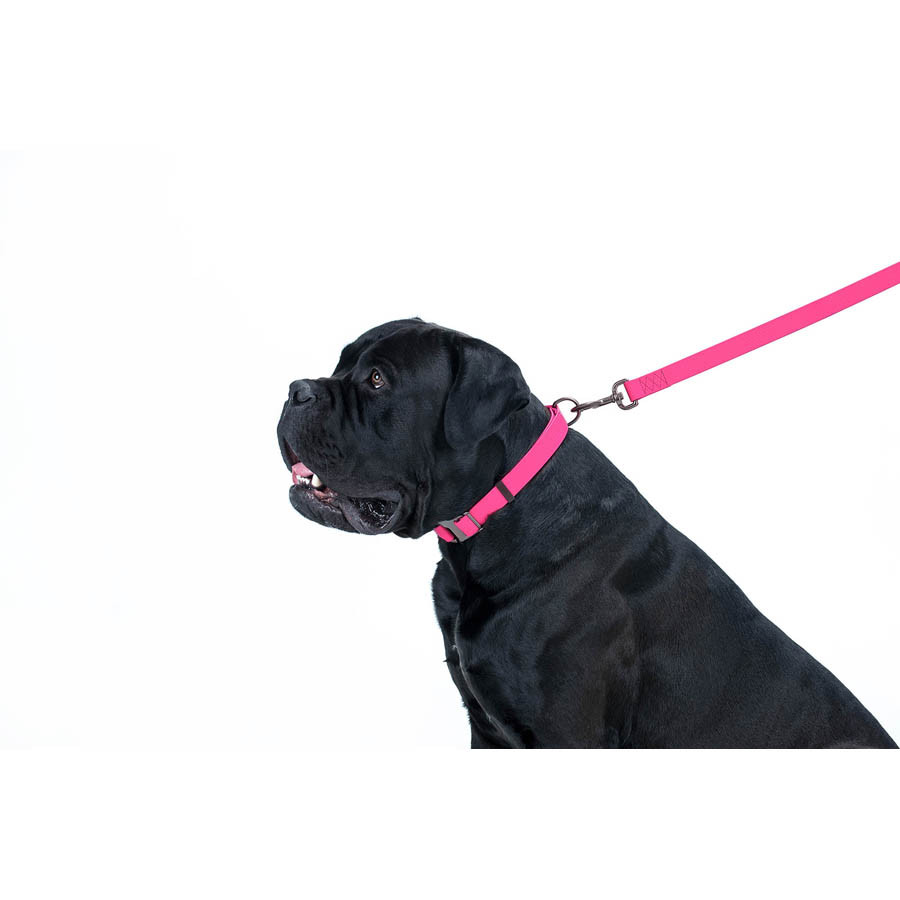Повідець для собак водостійкий WAUDOG Waterproof, L-XXL, Ш 25 мм, Дов 183 см рожевий Коломыя - изображение 4