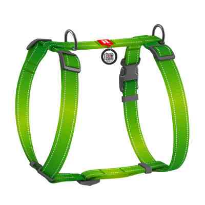 Шлей для собак WAUDOG Nylon Mono с QR-паспортом, пластиковый фастекс L салатовая (52745) Винница