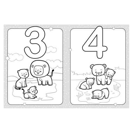 Розмальовка дитяча Розфарбуй цифри КЕНГУРУ 1489005 для найменших Вінниця