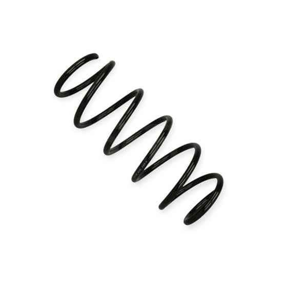 Пружина Ford Fiesta VI 1.25-1.6i, Ti 08-передня Мукачево