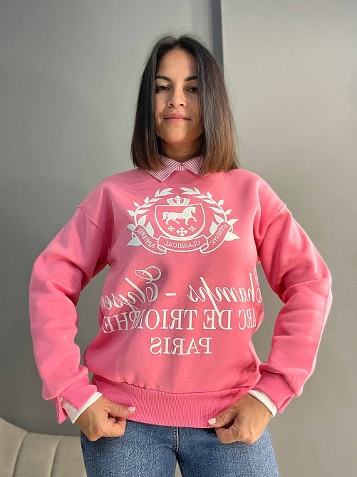 Світшот жіночий OLIVIA 2473 з коміром та малюнком попереду утеплений на флісі one size, рожевий, one size Київ - фото 2