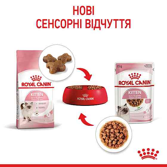 Вологий корм для кошенят (шматочки у соусі) ROYAL CANIN KITTEN IN GRAVY 0.085 кг, у паучах Київ