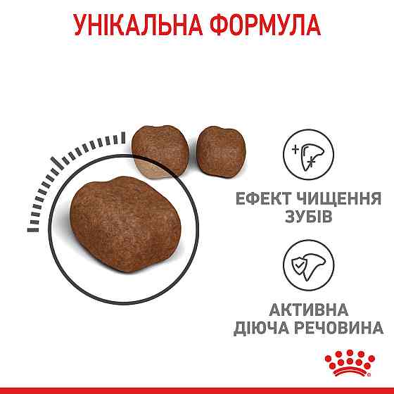 Корм для котів ROYAL CANIN DENTAL CARE 8 кг, для зменшення утворення зубного нальоту та каменю Київ