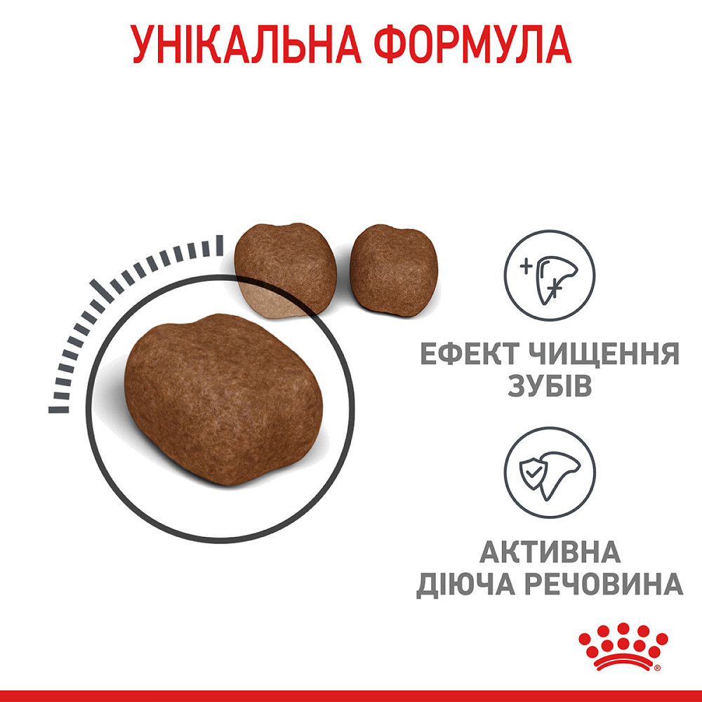 Корм для котів ROYAL CANIN DENTAL CARE 8 кг, для зменшення утворення зубного нальоту та каменю Київ - фото 6