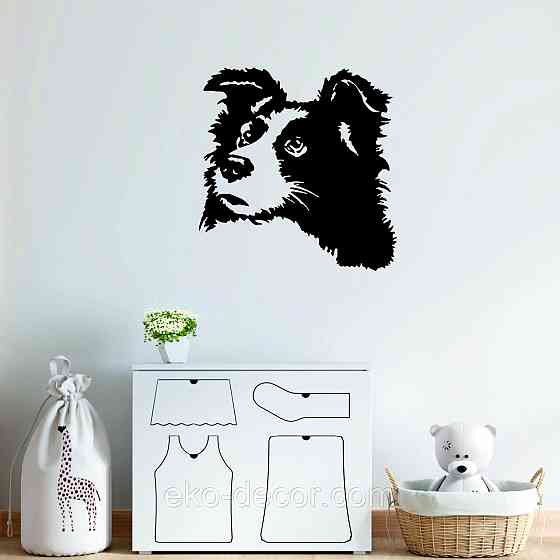 Декоративне настінне Панно «Бордер-Колі», Декор на стіну Київ