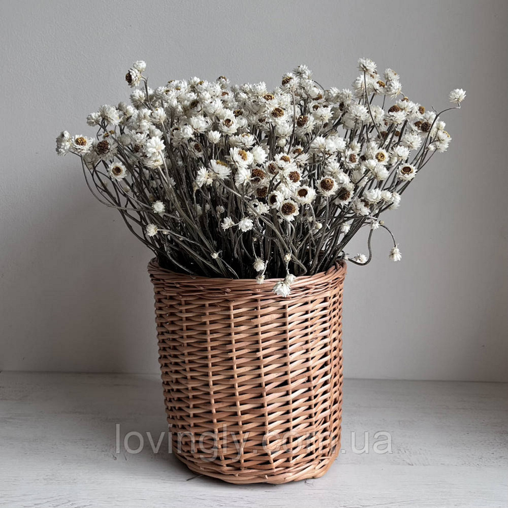 Композиция из натуральных сухоцветов в плетеной корзине высота 40см. Ирпень - изображение 1