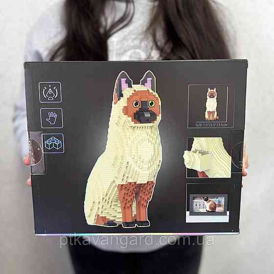 Конструктор сіамський котик із рамкою 2913 деталей DMG 007 Хмельницький