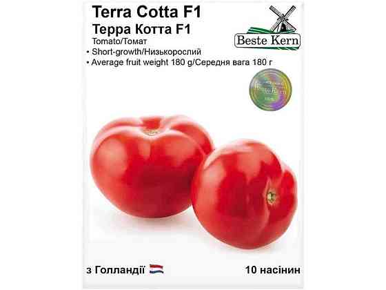 Томат Терра Котта F1 (10 семечек)/(5 пачек в упаковке) ТМ Beste Kern Киев