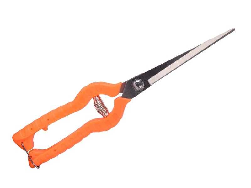 Секатор садовый виноградный Sturm 3012-01-03 (читать описание) Ровно - изображение 1