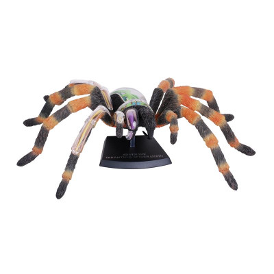 Пазл 4D Master Паук Тарантул (FM-622032) Винница - изображение 2