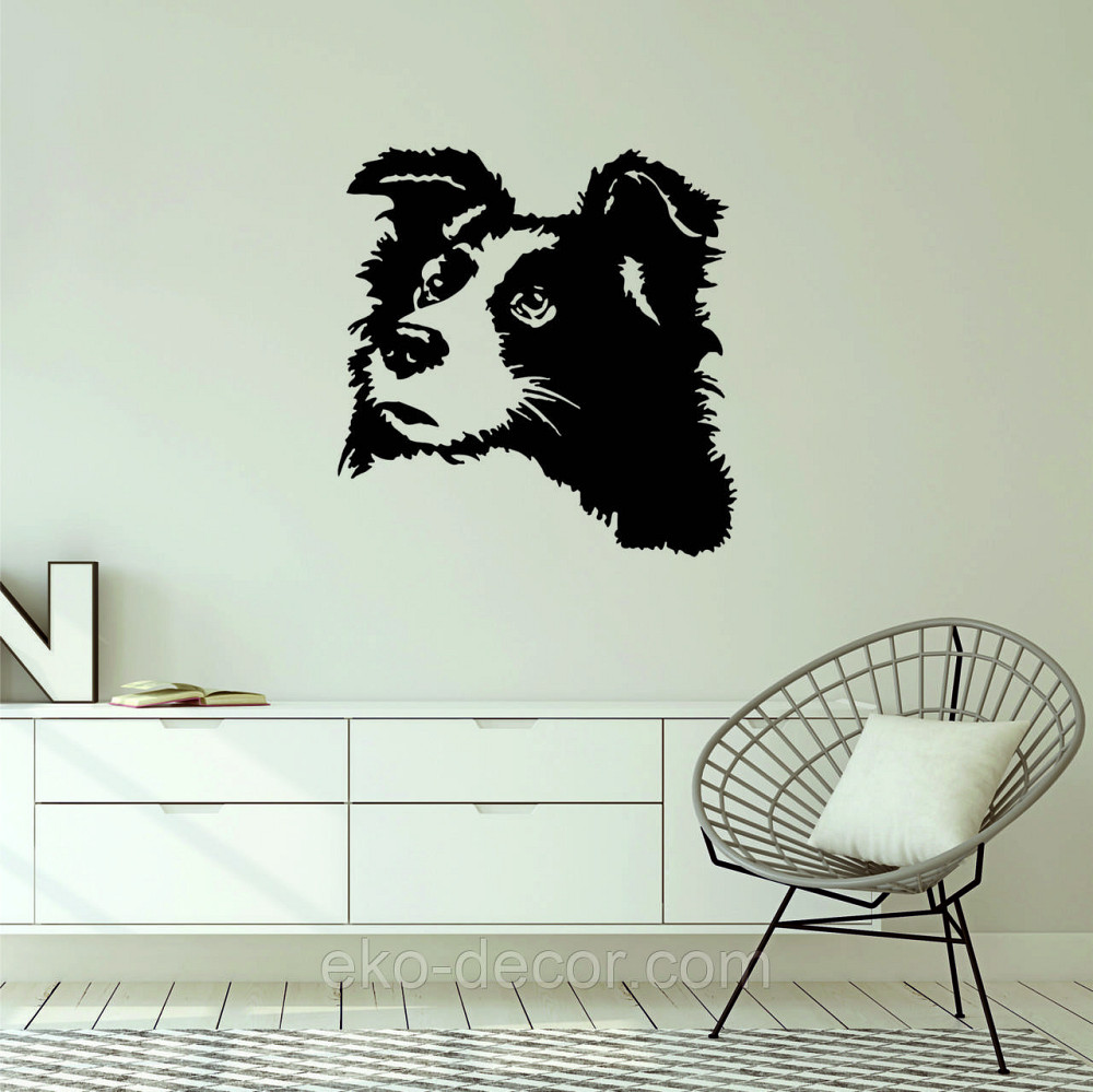 Декоративне настінне Панно «Бордер-Колі», Декор на стіну Київ - фото 8