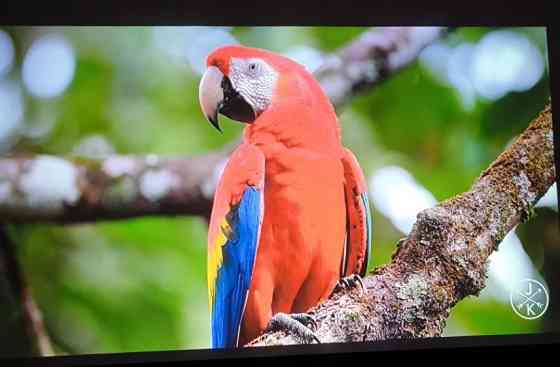 Проектор Magcubic HY350 Max 900Ansi 2/16G Android 14 Auto Focus. Харків