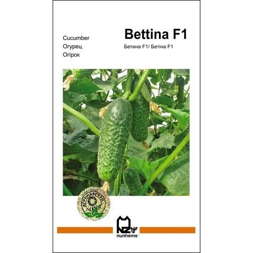 Семена огурца Беттина F1 10 сем., Nunhems, Голландия Вінниця - фото 1