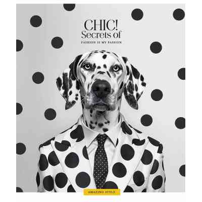 Тетрадь Школярик Fashion chiс 60 листов клетка (060-3458K) Винница