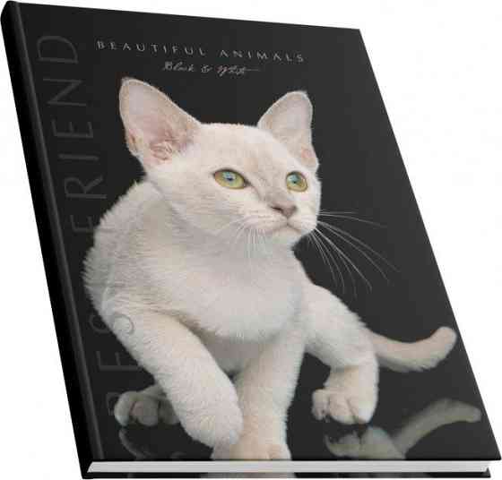 Книга канцелярська А4/192 арк."Аркуш""Білий кіт" # офсет, тверда обкл., 1В2381, шт Київ