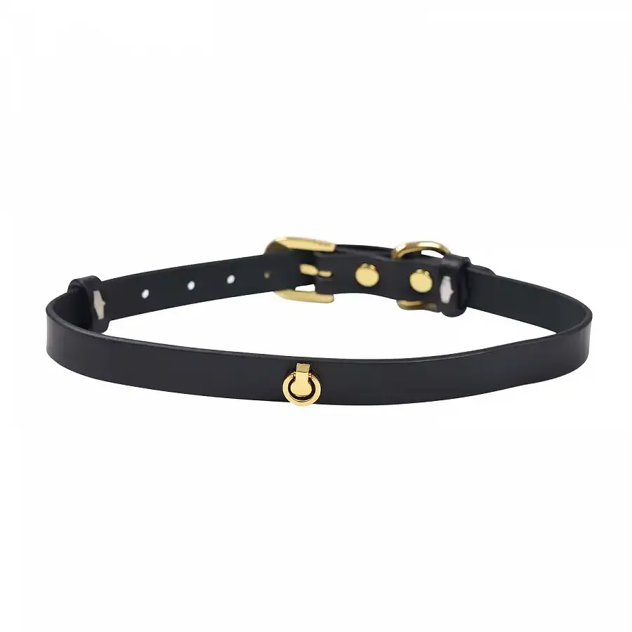 Сумка LOCKINK Detachable JK Bag For Sex Toy Storage & Bondage Play Львів - фото 7