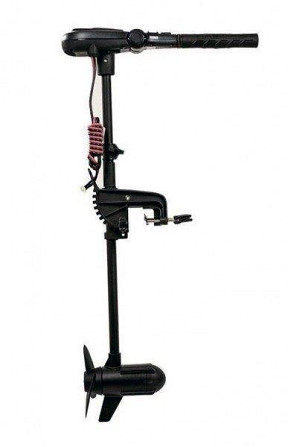 Электромотор Haswing Protruar 1.0 65lbs 12B бесщеточный Днепр - изображение 1