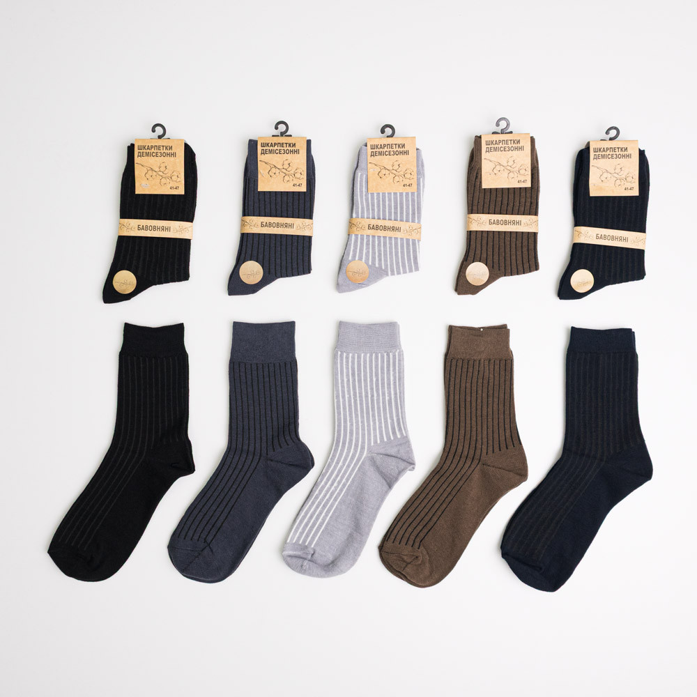 Набір шкарпеток чоловічих демісезонних зі смужками 10 пар Youstar 842 Середні 41-47 Різні кольори Суми - фото 1