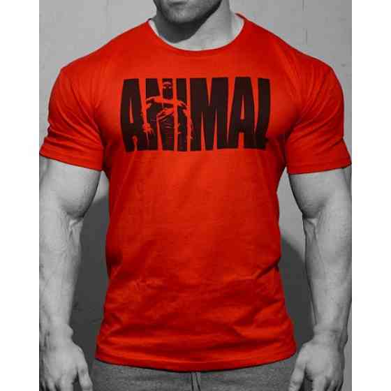 T-Shirt Animal (Red) Луцьк