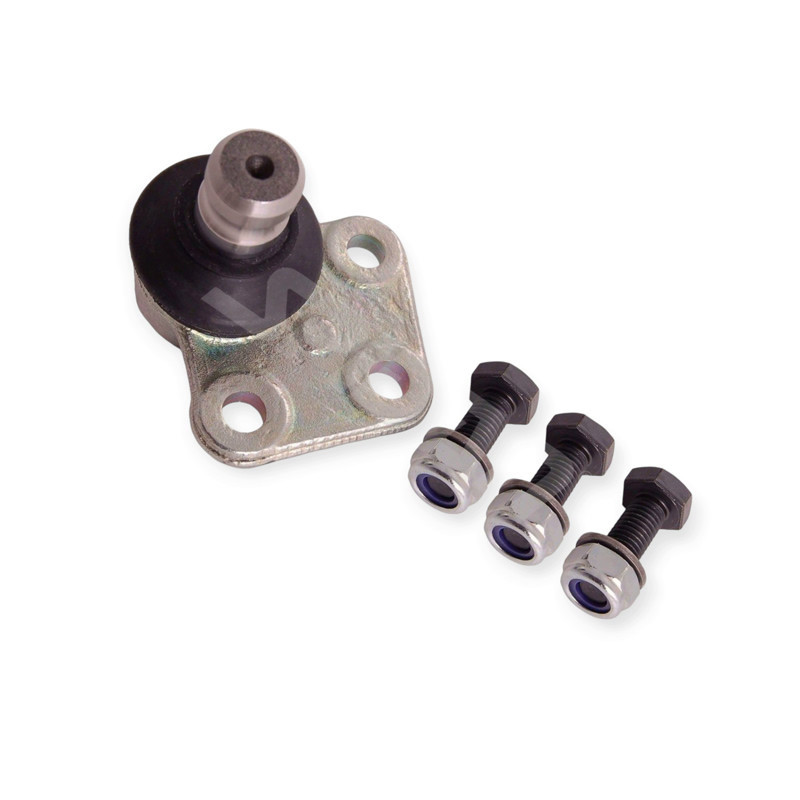 Кульова Рено Kangoo 08 - ліва L опора Мукачево - фото 1