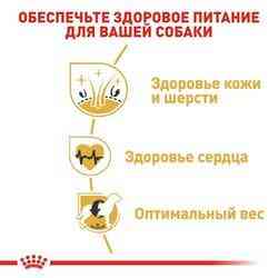 Royal Canin Golden Retriever Adult (Роя Кані Ґольден Ретрівер Едалт) корм для дорослого золотистого ретривера 12 кг. Запоріжжя