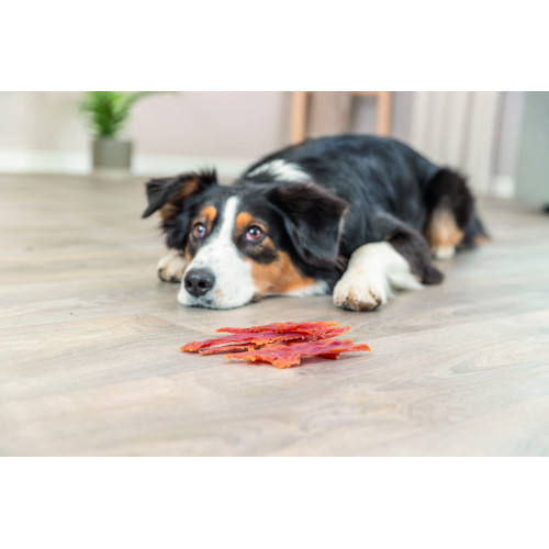 Лакомство Trixie Premio Ducky Stripes для собак кусочки из утки 100 г Киев - изображение 5