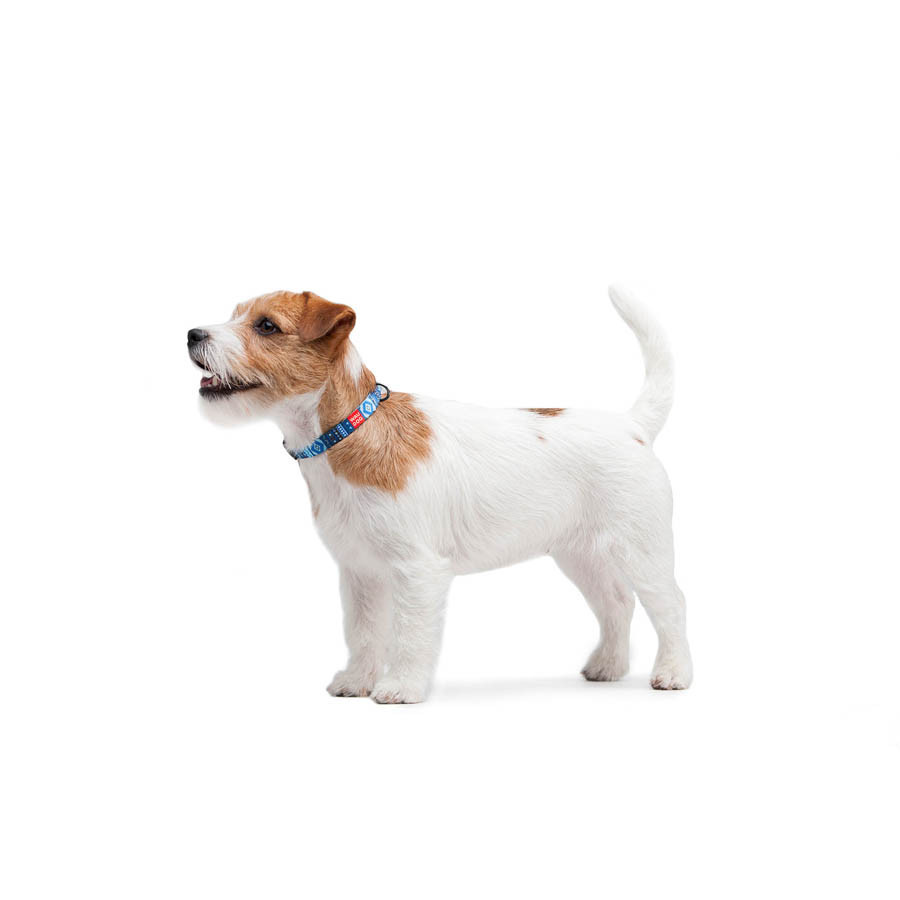 Нашийник для собак нейлоновий WAUDOG Nylon з QR-паспортом, малюнок "Етно синій", пластиковий фастекс, Ш 15 мм Вінниця - фото 6