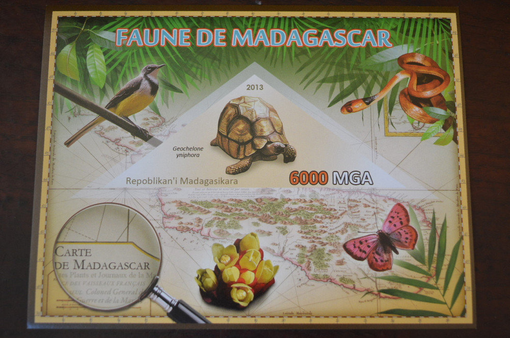 Мадагаскар. Фауна. Личности. Блок. 2014 р. (А-34) Полтава - фото 1