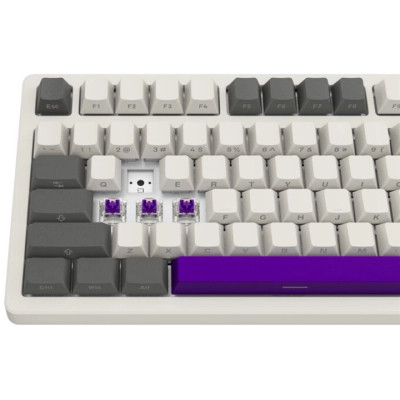 Клавіатура Lorgar KBP70TKLW Wireless TKL Mechanical Pro UA Beige (LRG-KBP70TKLW-RT-US) Вінниця - фото 12