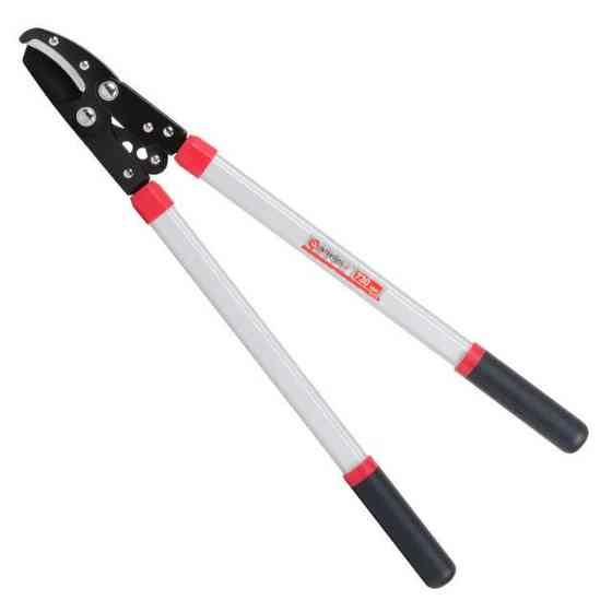 Сучкоріз садовий для обрізання гілок, 730 мм INTERTOOL FT-1112 Киев