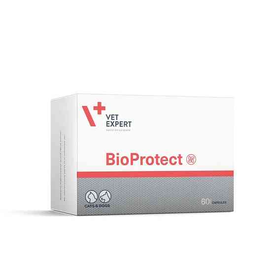 Vet Expert BioProtect (БиоПротект) для кошек и собак с нарушеной желудочно-кишечной микрофлорой 60 капсул Винница