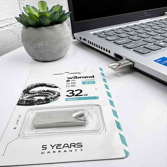 Флешка Wibrand Taipan 32ГБ Срібляста Київ