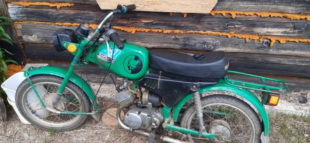 Наклейка на авто Пітбуль Велика Біла світловідбивка Київ - фото 8